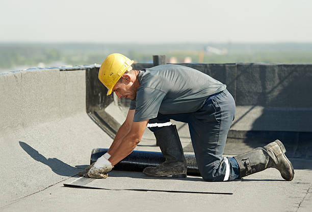 Best DIY Insulation Kits and Guidance in Weedsport, NY