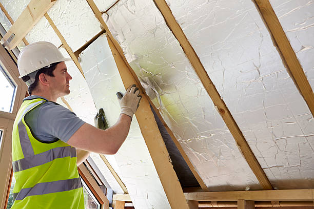 Best Eco-Friendly Insulation in Weedsport, NY